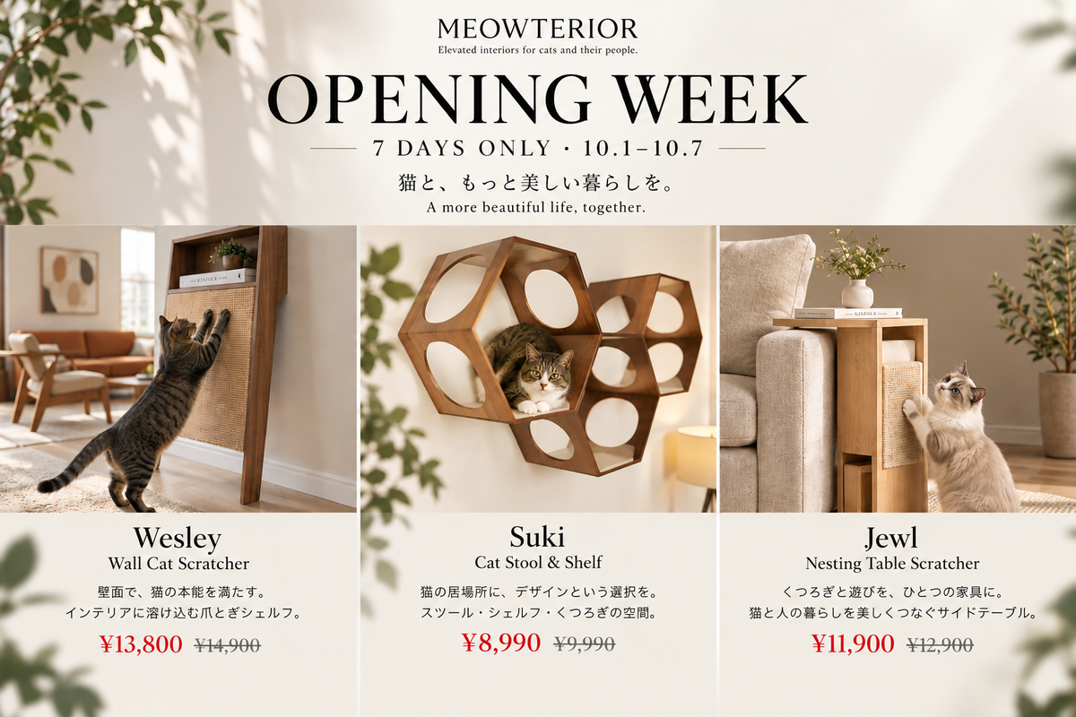 OPENING WEEK｜猫家具を、もっと暮らしの近くへ。