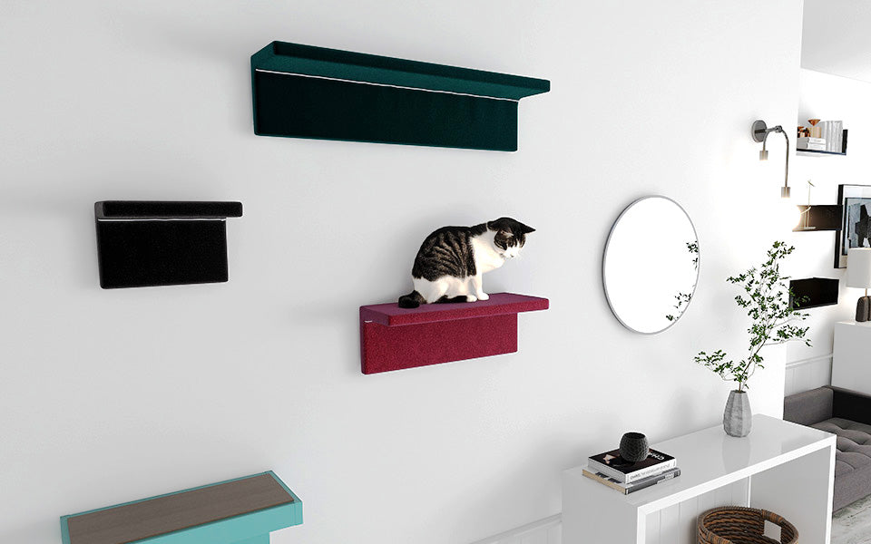 arneco Cat Wall M サイズ違いコーディネート