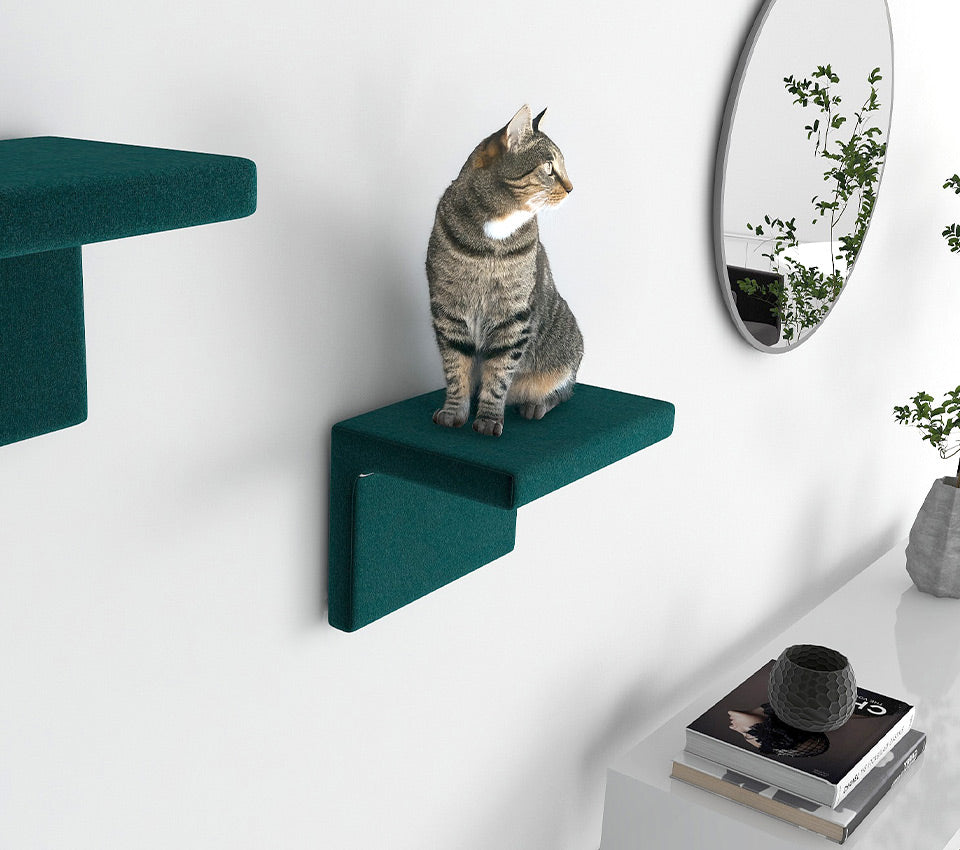 Cat Wall S 設置イメージ