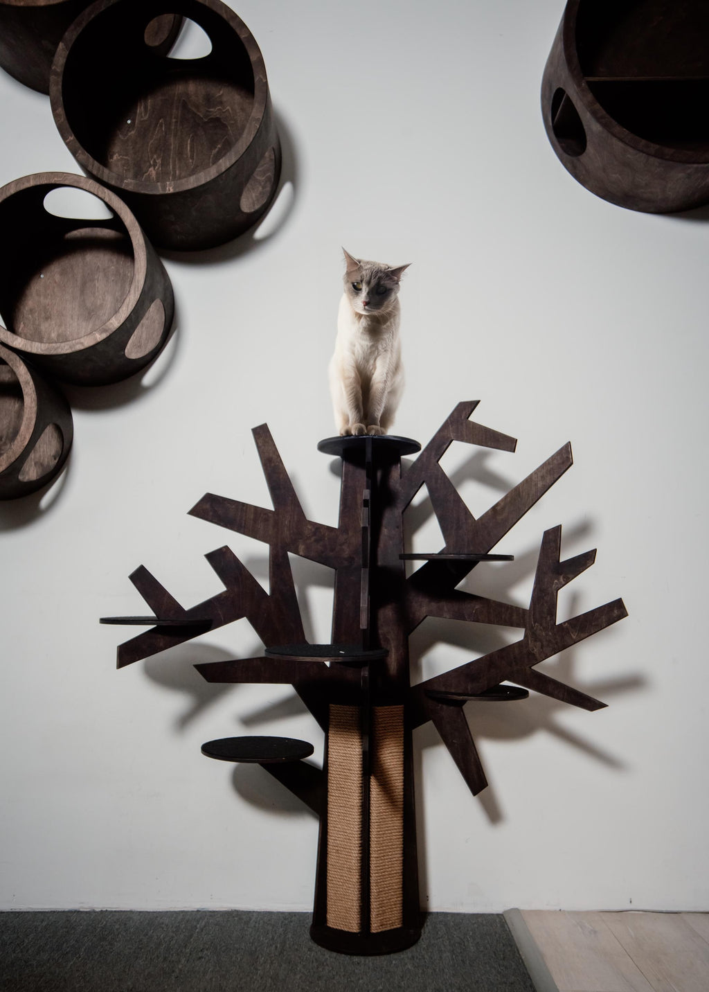 CatsJoys Modern Wooden Cat Tree dark oak with cat — official high-resolution CatsJoys Etsy image