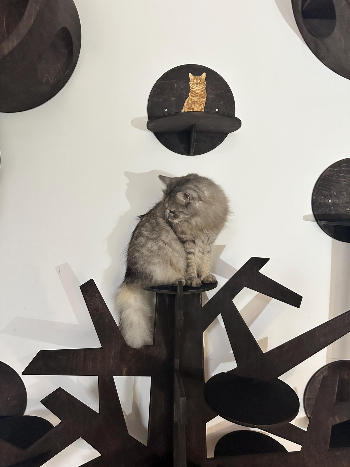 CatsJoys Modern Wooden Cat Tree dark oak in interior with cat — official high-resolution CatsJoys Etsy image