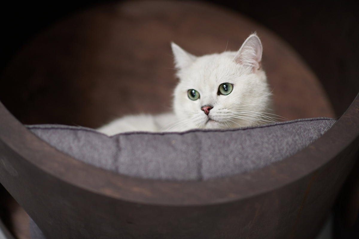 CatsJoys Round Wall-Mounted Cat House 5-size set official image 2