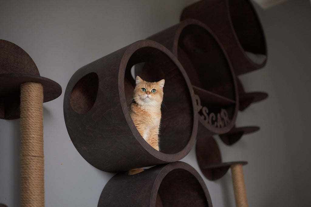 CatsJoys Round Wall-Mounted Cat House 5-size set official image 4