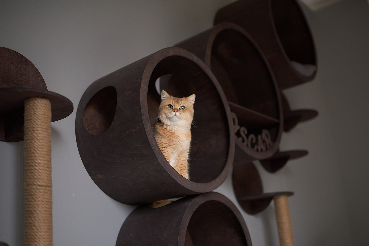 CatsJoys Round Wall-Mounted Cat House 5-size set official image 4