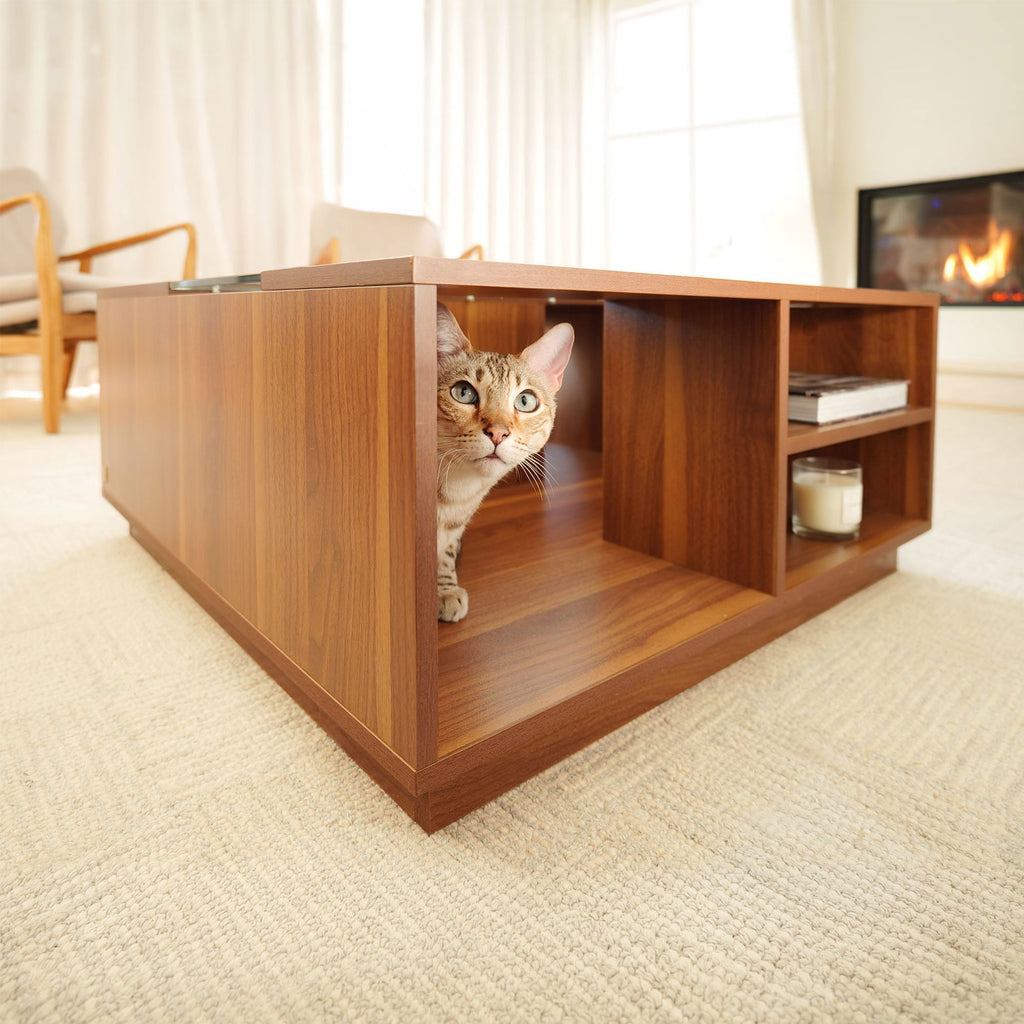 Coco Walnut 背面収納と猫の使用イメージ