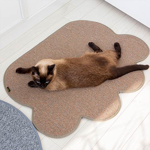 NECOCIA 爪とぎラグマット 猫との使用イメージ