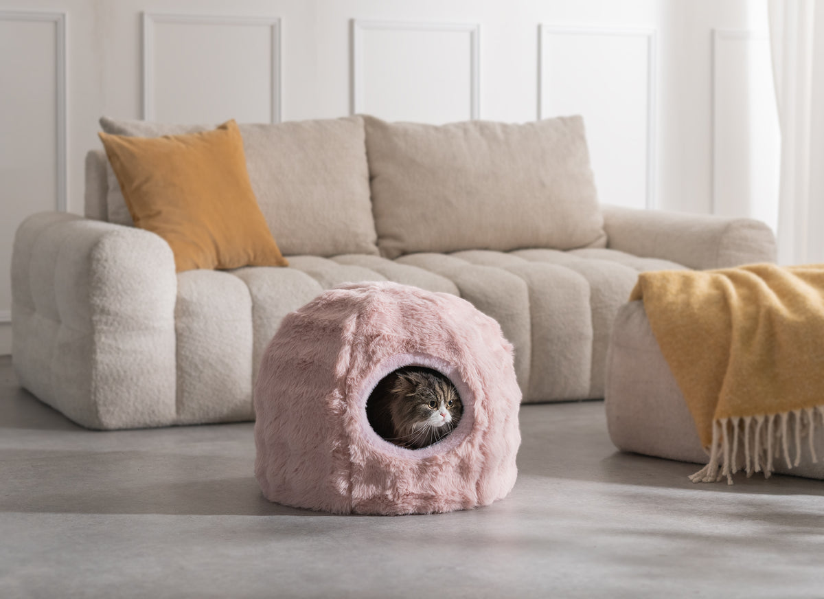 Foure ベージュ ドーム型ペットベッド 猫の使用イメージ