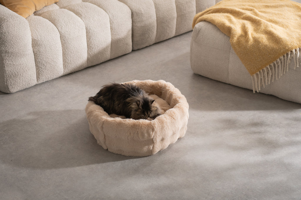Foure ベージュ ベッド型 猫の使用イメージ