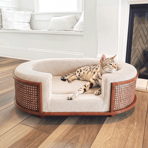 Gracie Rattan Pet Bed 猫 使用イメージ