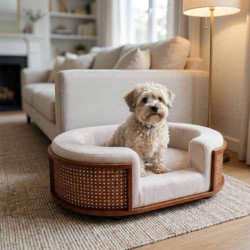 Gracie Rattan Pet Bed 使用イメージ