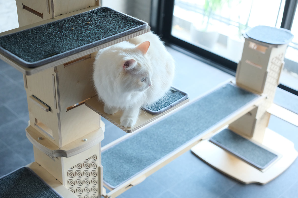 NECOCIA I-CAT専用ブリッジ 使用イメージ 猫