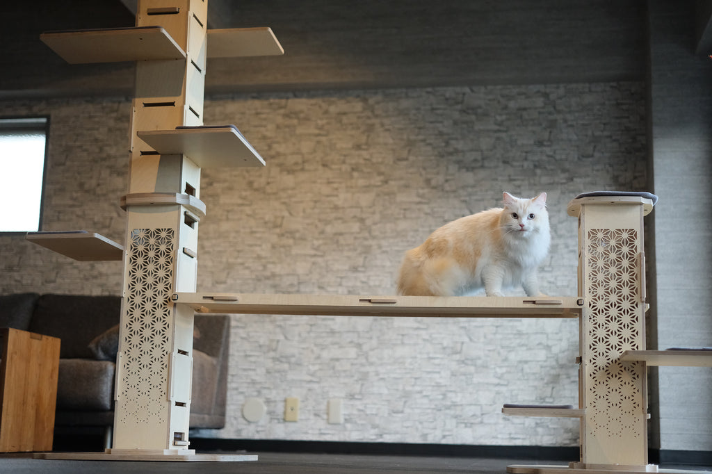 NECOCIA I-CAT専用ブリッジ 使用イメージ