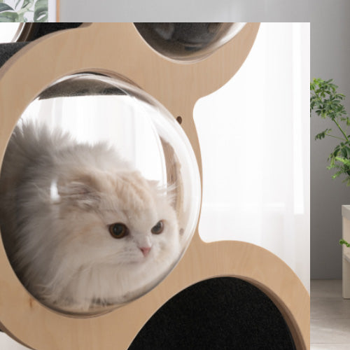 NECOCIA S-CAT アクリル窓でくつろぐ猫