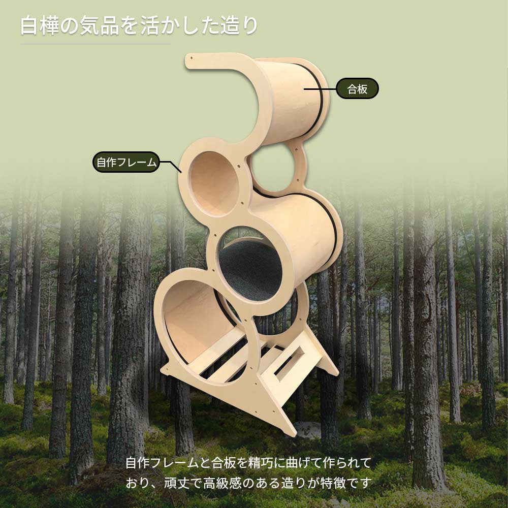 NECOCIA S-CAT 白樺を活かした構造