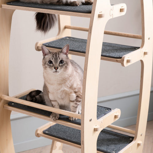 NECOCIA O-CAT 使用イメージ