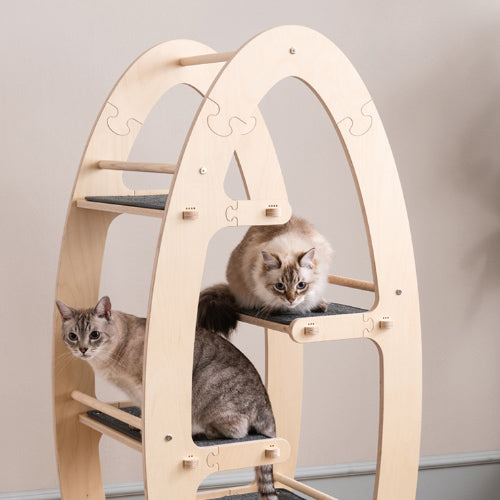 NECOCIA O-CAT デザイン