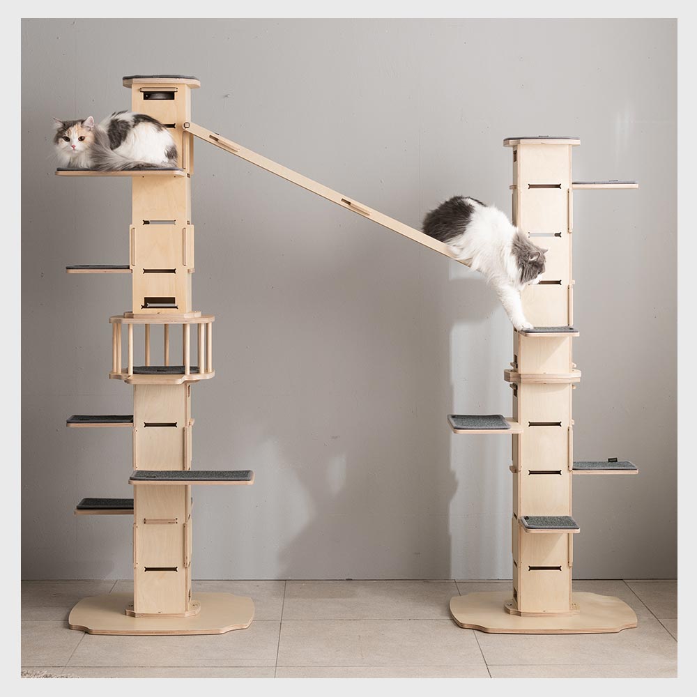 NECOCIA I-CAT L 全体像