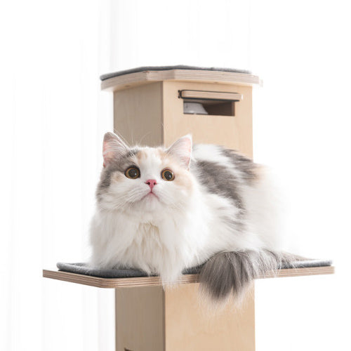 NECOCIA I-CAT L ステップ