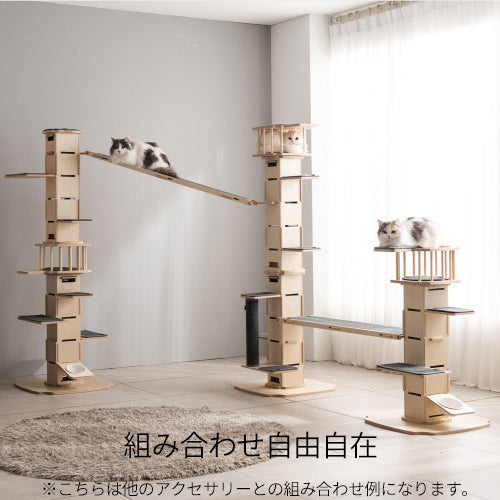 NECOCIA I-CAT S 使用イメージ