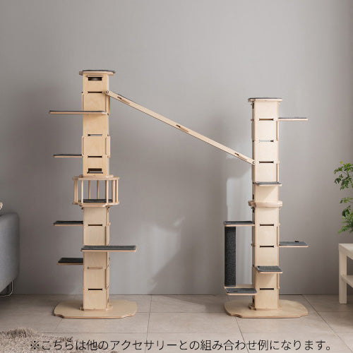 NECOCIA I-CAT S ステップ