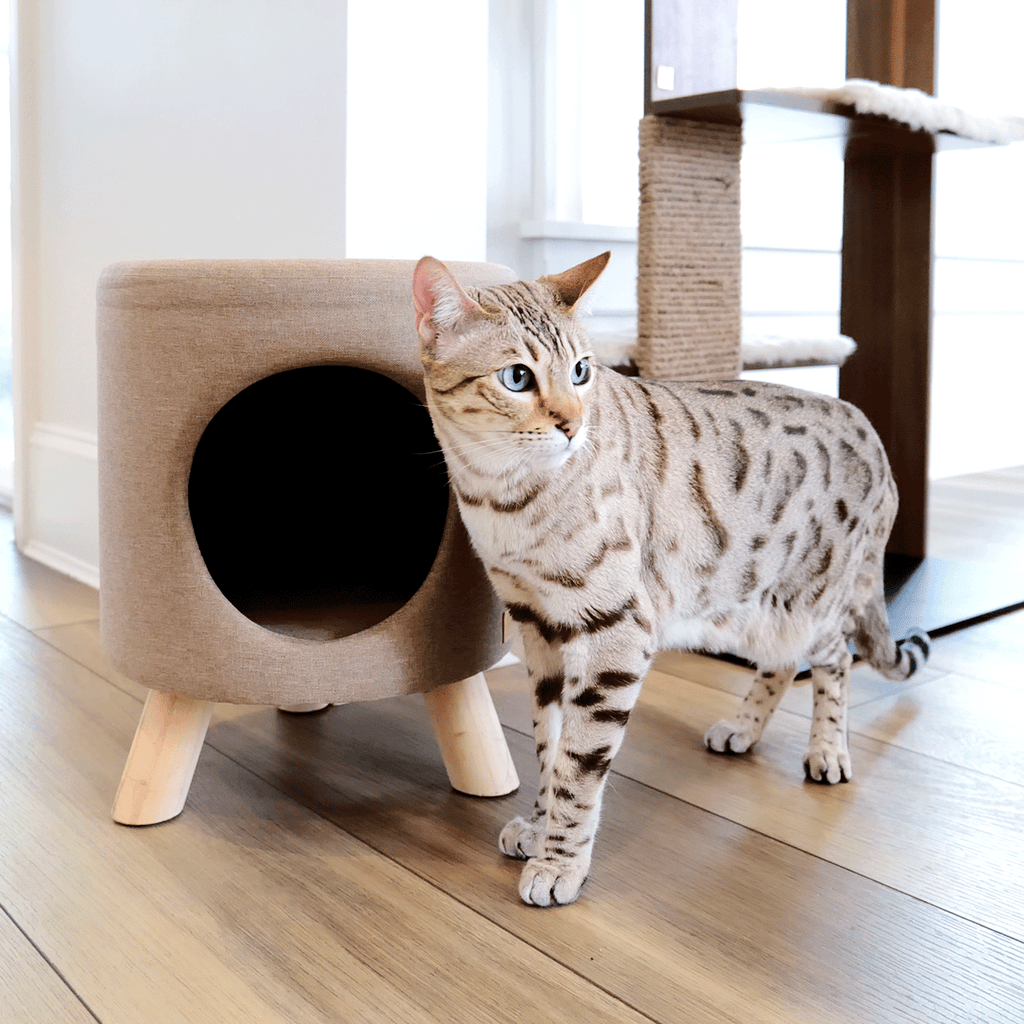 Wallie Pet Stool タン 猫と商品