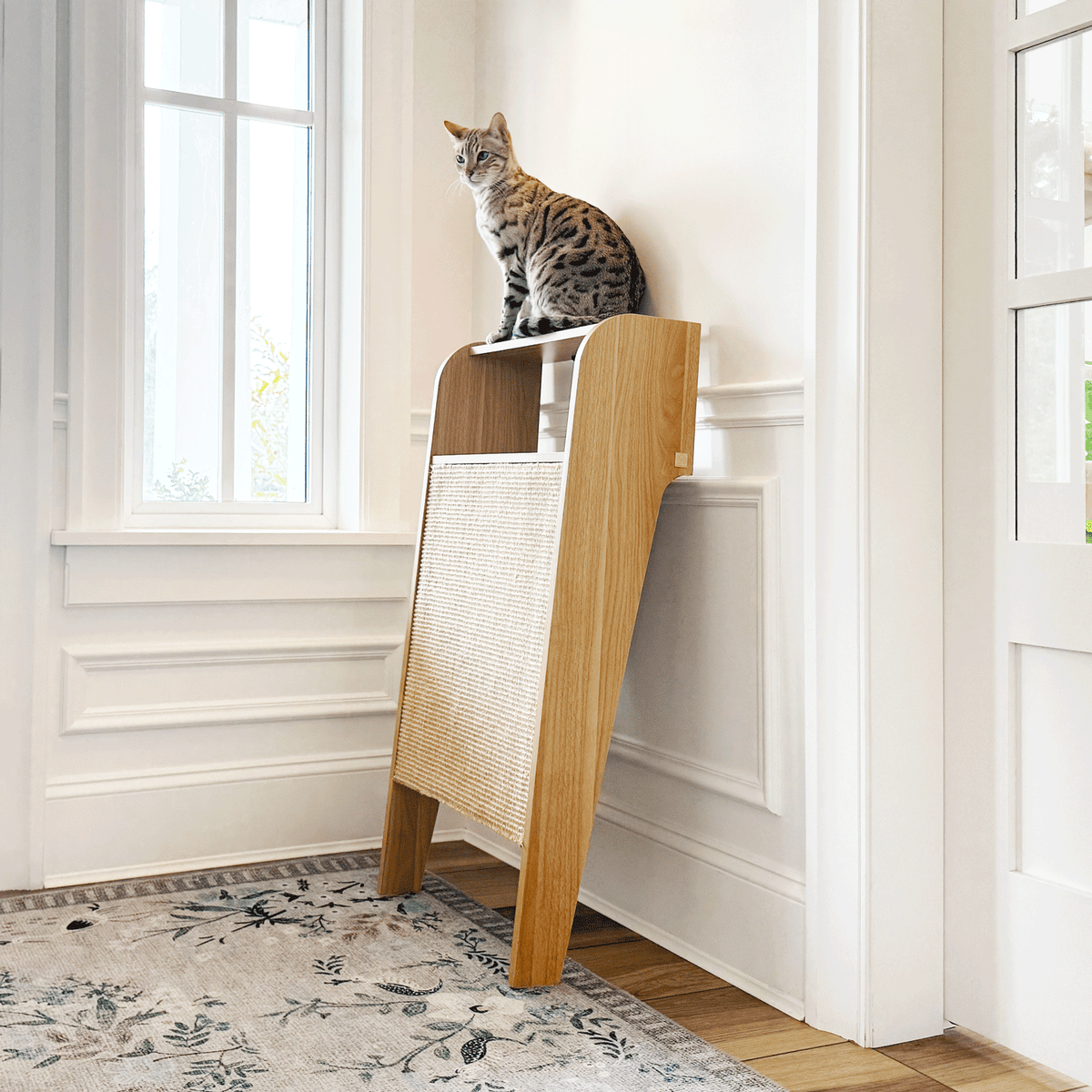 Wesley Oak 上部シェルフに猫が乗る使用イメージ